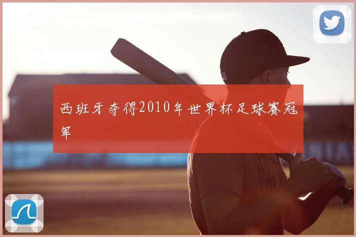 西班牙夺得2010年世界杯足球赛冠军