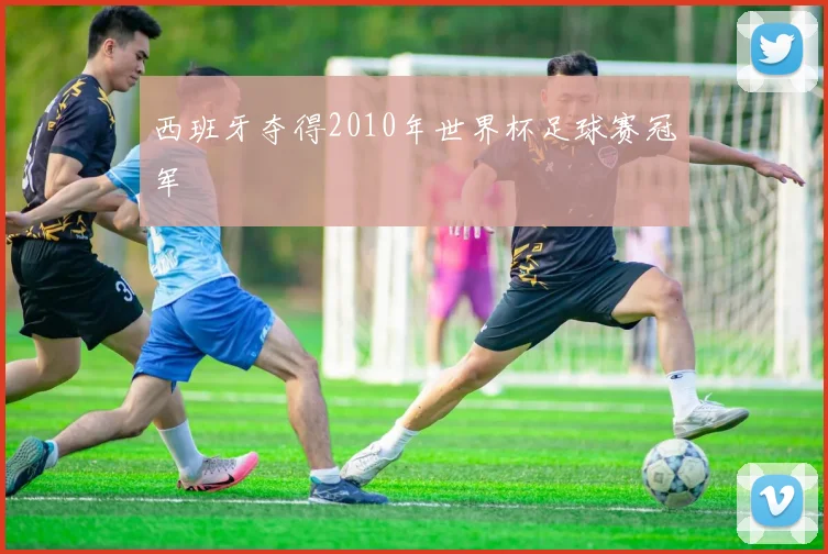 西班牙夺得2010年世界杯足球赛冠军