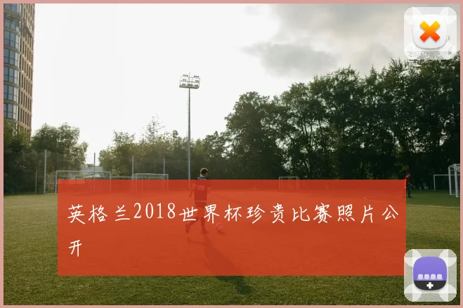 英格兰2018世界杯珍贵比赛照片公开