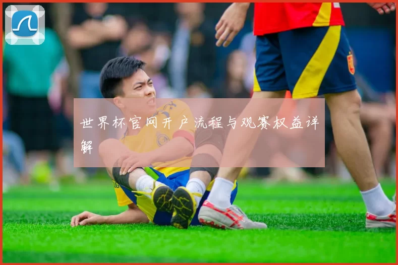 世界杯官网开户流程与观赛权益详解