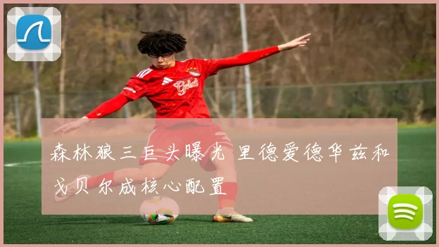 森林狼三巨头曝光 里德爱德华兹和戈贝尔成核心配置